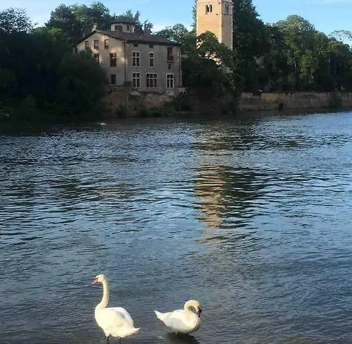 Apartman Face A L'ile Barbe *
